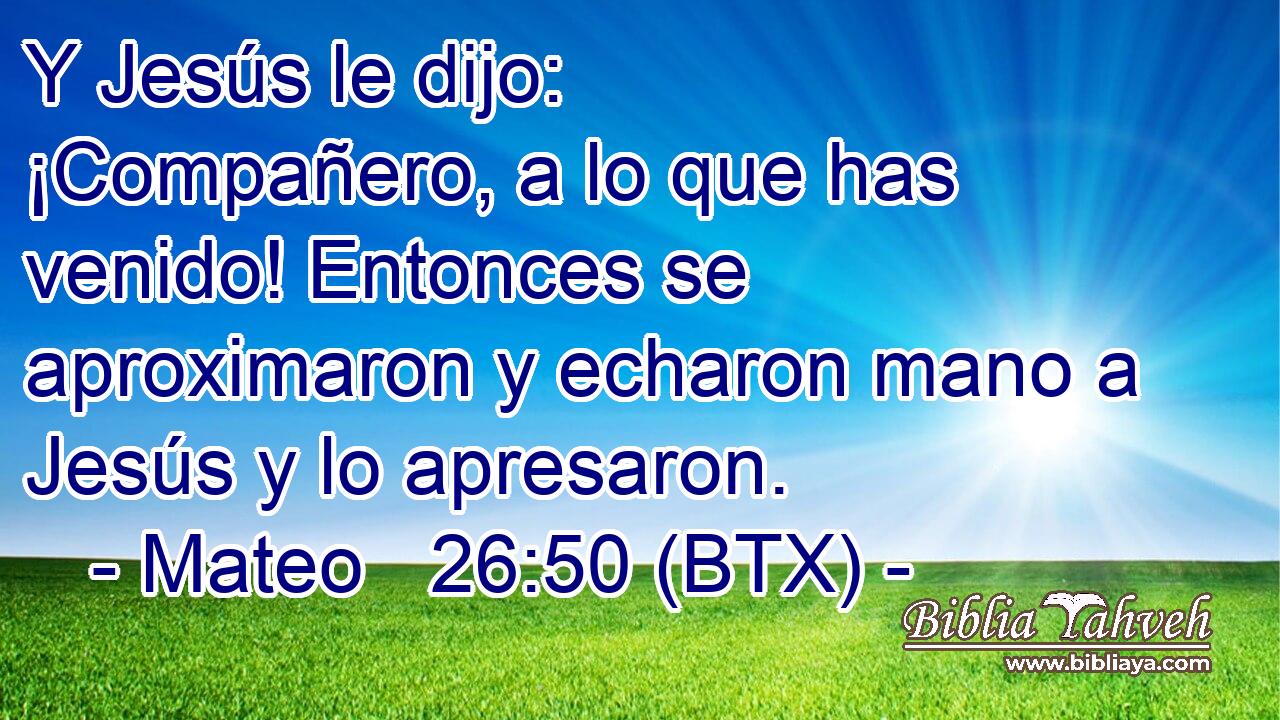Y Jesús le dijo: ¡Compañero, a lo que has venido! Entonces se aproximaron y echaron mano a Jesús y lo apresaron.