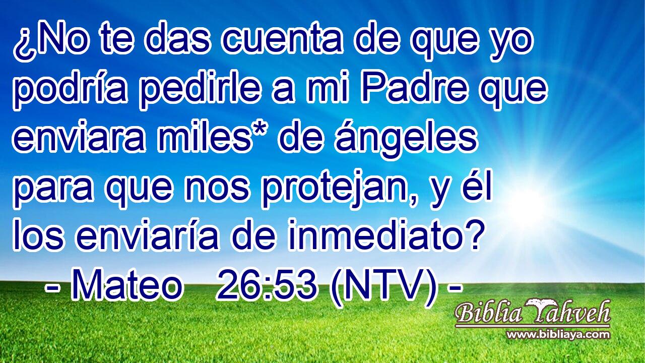 ¿No te das cuenta de que yo podría pedirle a mi Padre que enviara miles* de ángeles para que nos protejan, y él los enviaría de inmediato?