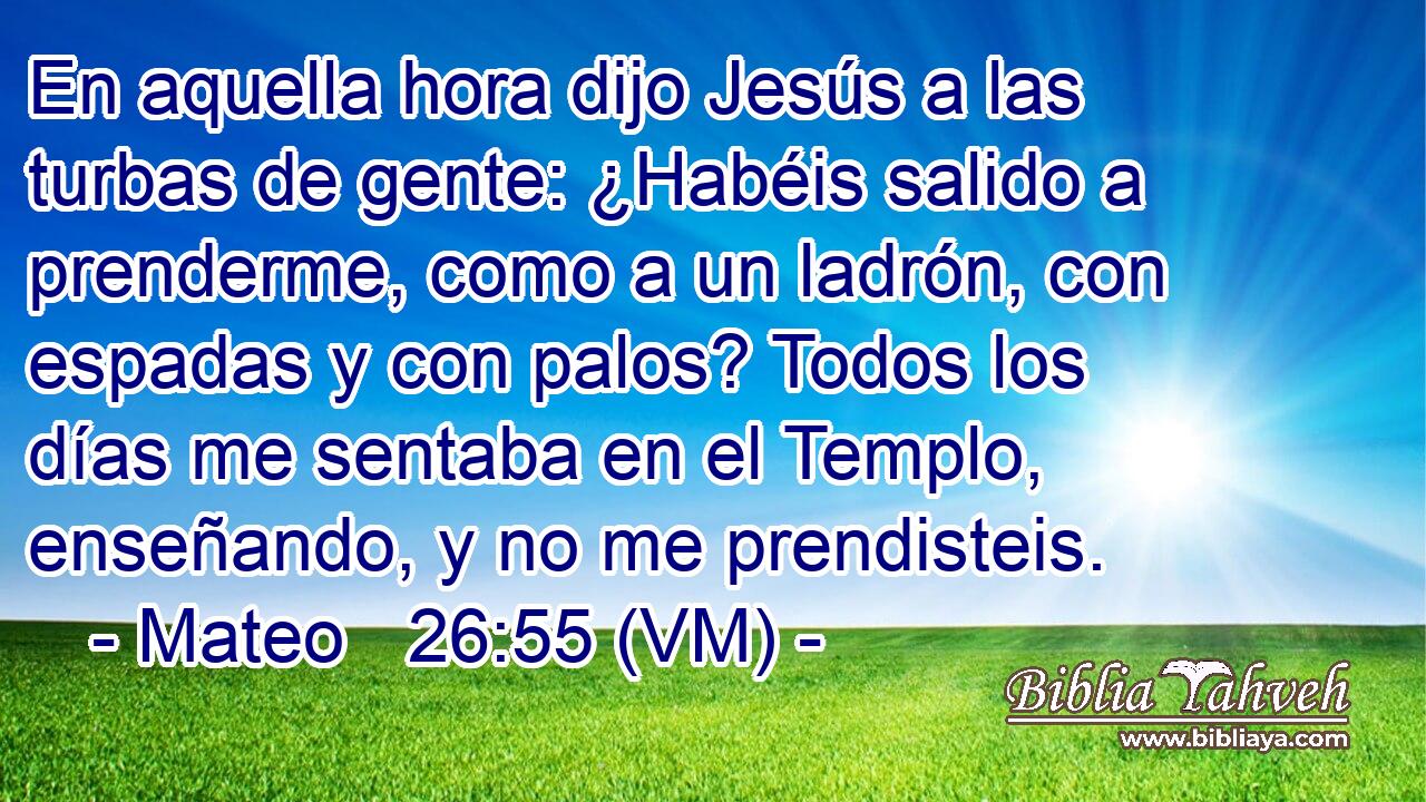 En aquella hora dijo Jesús a las turbas de gente: ¿Habéis salido a prenderme, como a un ladrón, con espadas y con palos? Todos los días me sentaba en el Templo, enseñando, y no me prendisteis. 