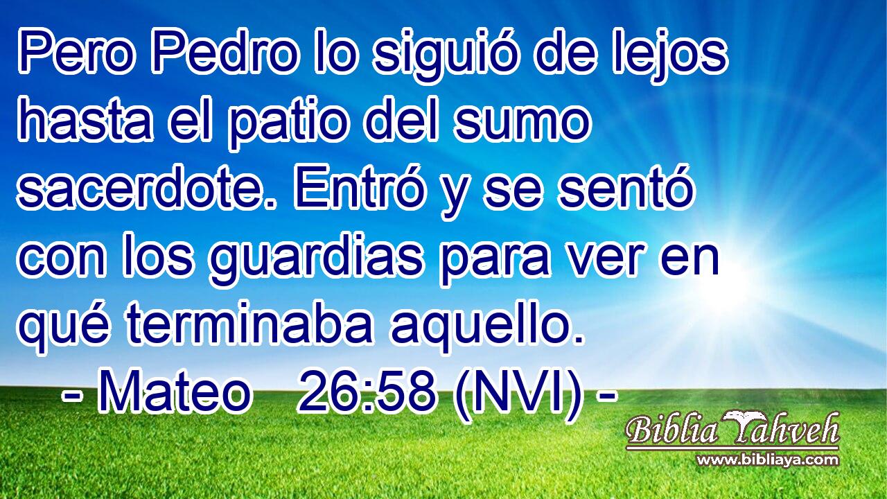  Pero Pedro lo siguió de lejos hasta el patio del sumo sacerdote. Entró y se sentó con los guardias para ver en qué terminaba aquello. 