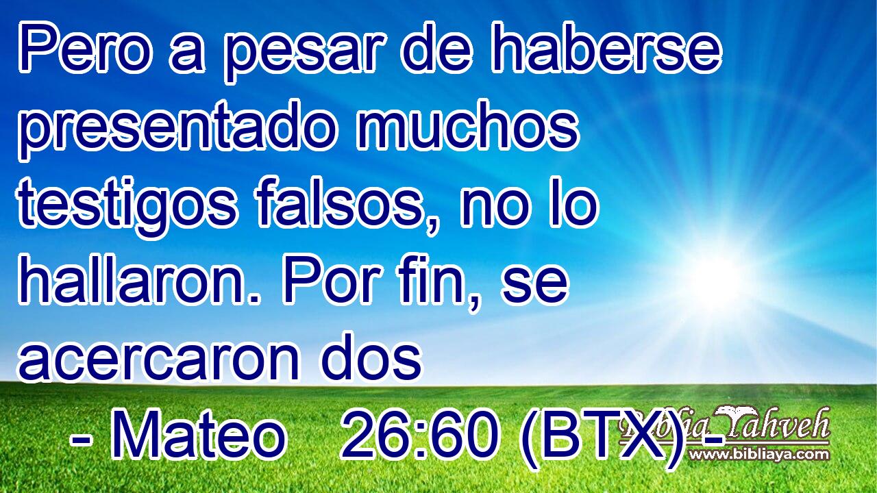 Pero a pesar de haberse presentado muchos testigos falsos, no lo hallaron. Por fin, se acercaron dos