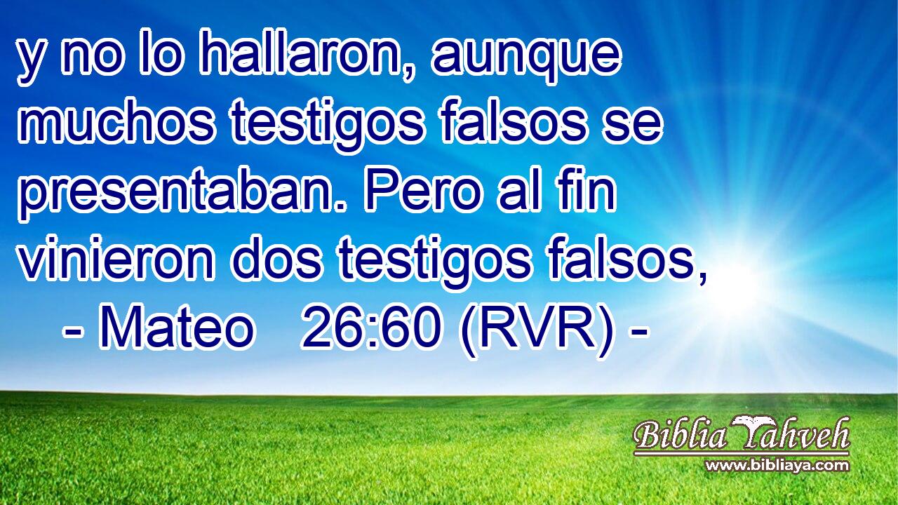 y no lo hallaron, aunque muchos testigos falsos se presentaban. Pero al fin vinieron dos testigos falsos,