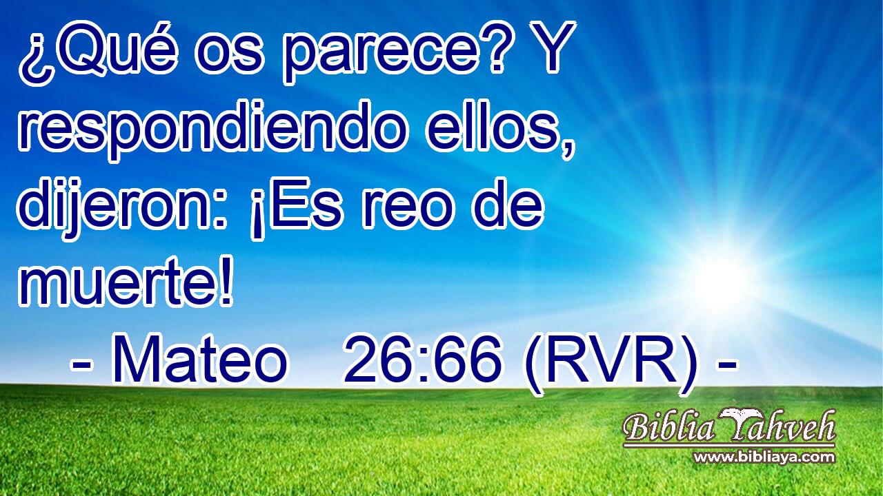¿Qué os parece? Y respondiendo ellos, dijeron: ¡Es reo de muerte!