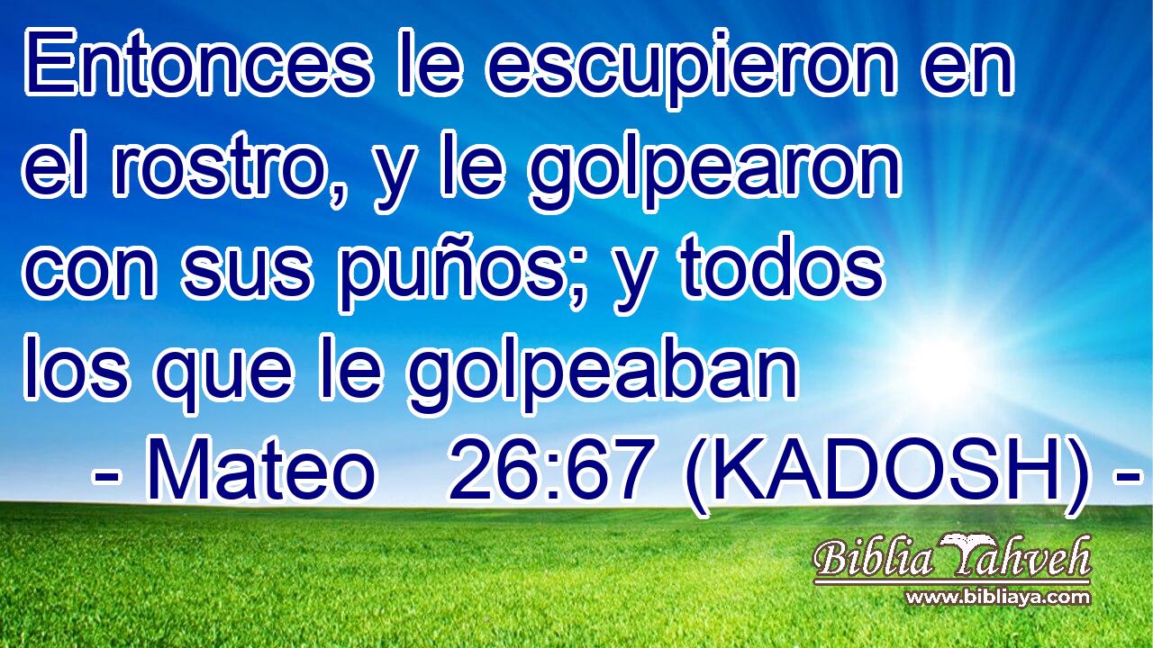  Entonces le escupieron en el rostro, y le golpearon con sus puños; y todos los que le golpeaban 