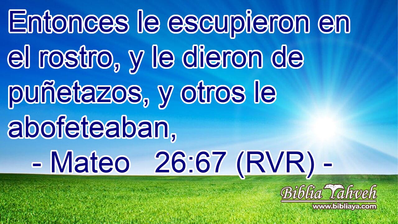 Entonces le escupieron en el rostro, y le dieron de puñetazos, y otros le abofeteaban,