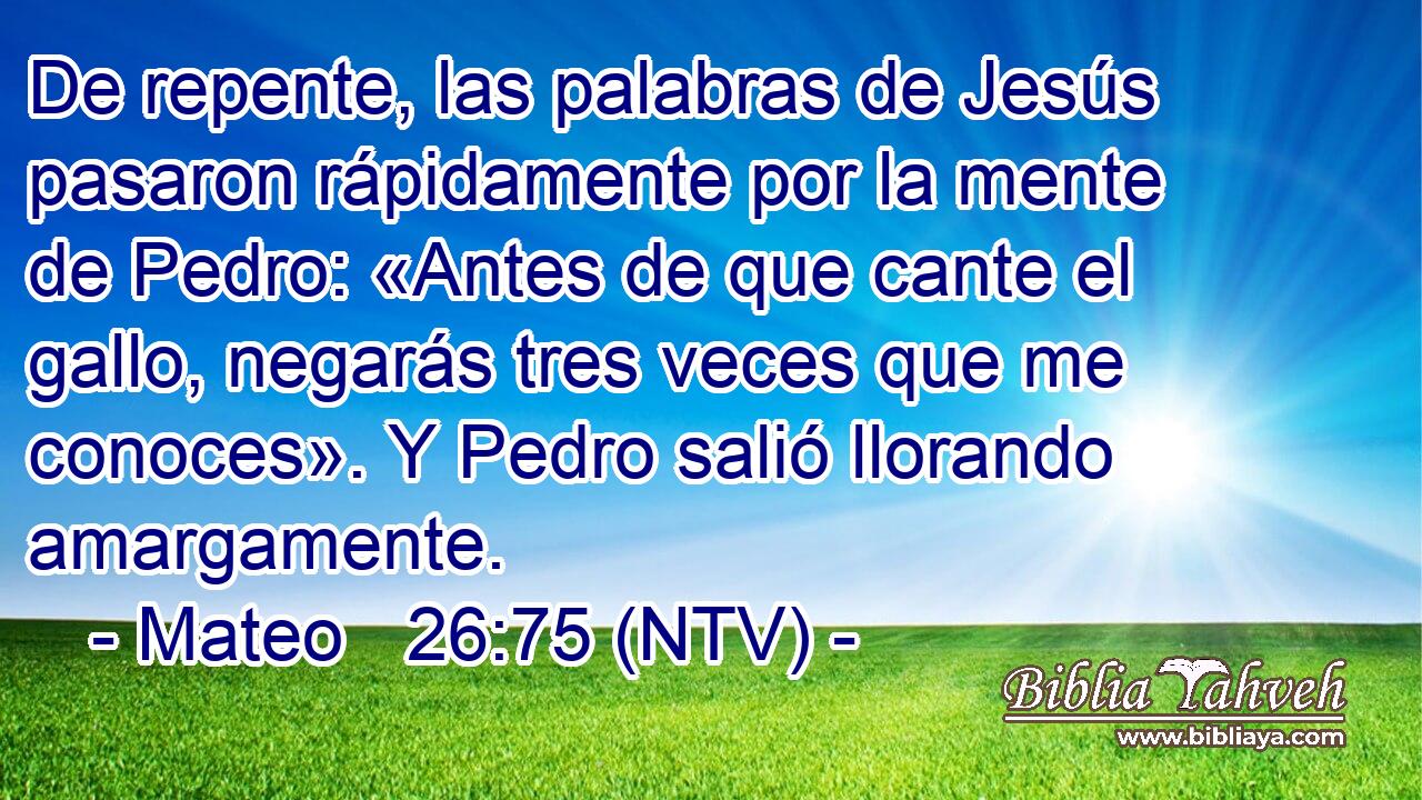 De repente, las palabras de Jesús pasaron rápidamente por la mente de Pedro: «Antes de que cante el gallo, negarás tres veces que me conoces». Y Pedro salió llorando amargamente.