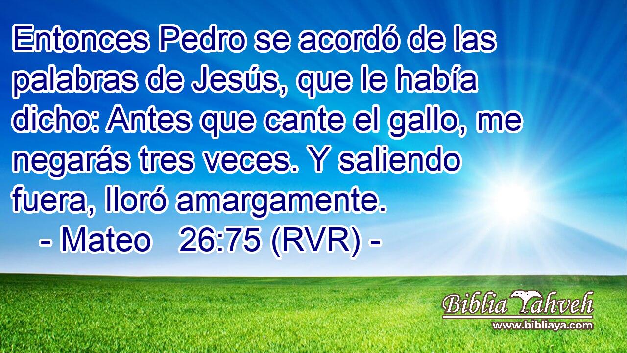 Entonces Pedro se acordó de las palabras de Jesús, que le había dicho: Antes que cante el gallo, me negarás tres veces. Y saliendo fuera, lloró amargamente.