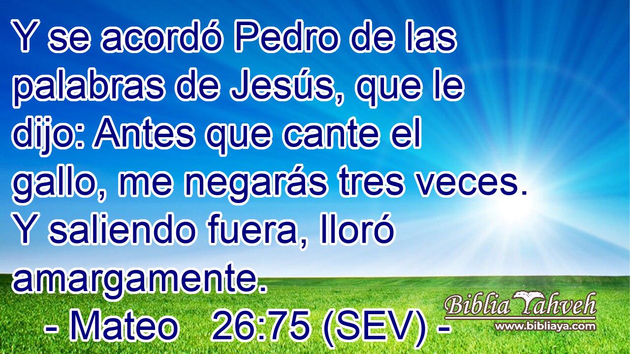 Y se acordó Pedro de las palabras de Jesús, que le dijo: Antes que cante el gallo, me negarás tres veces. Y saliendo fuera, lloró amargamente.