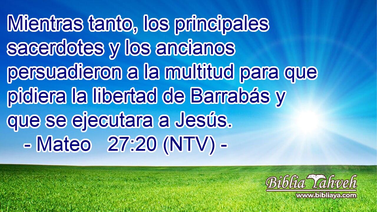 Mientras tanto, los principales sacerdotes y los ancianos persuadieron a la multitud para que pidiera la libertad de Barrabás y que se ejecutara a Jesús.