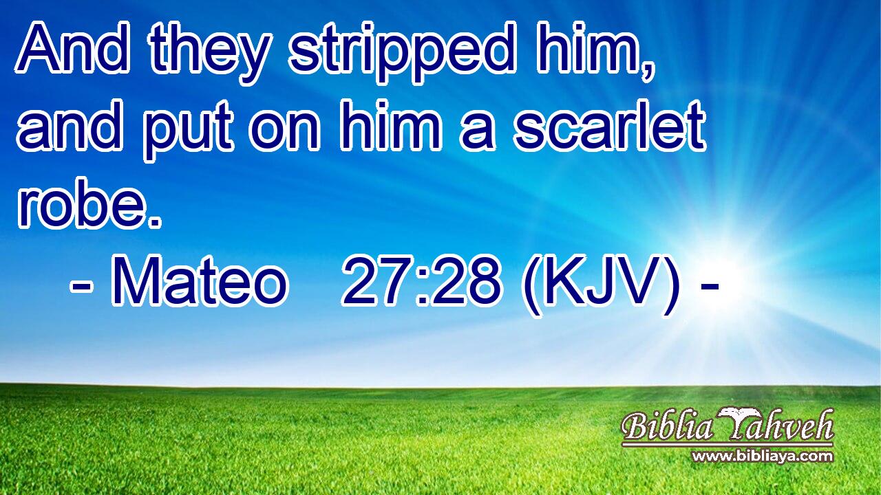 And they stripped him, and put on him a scarlet robe.