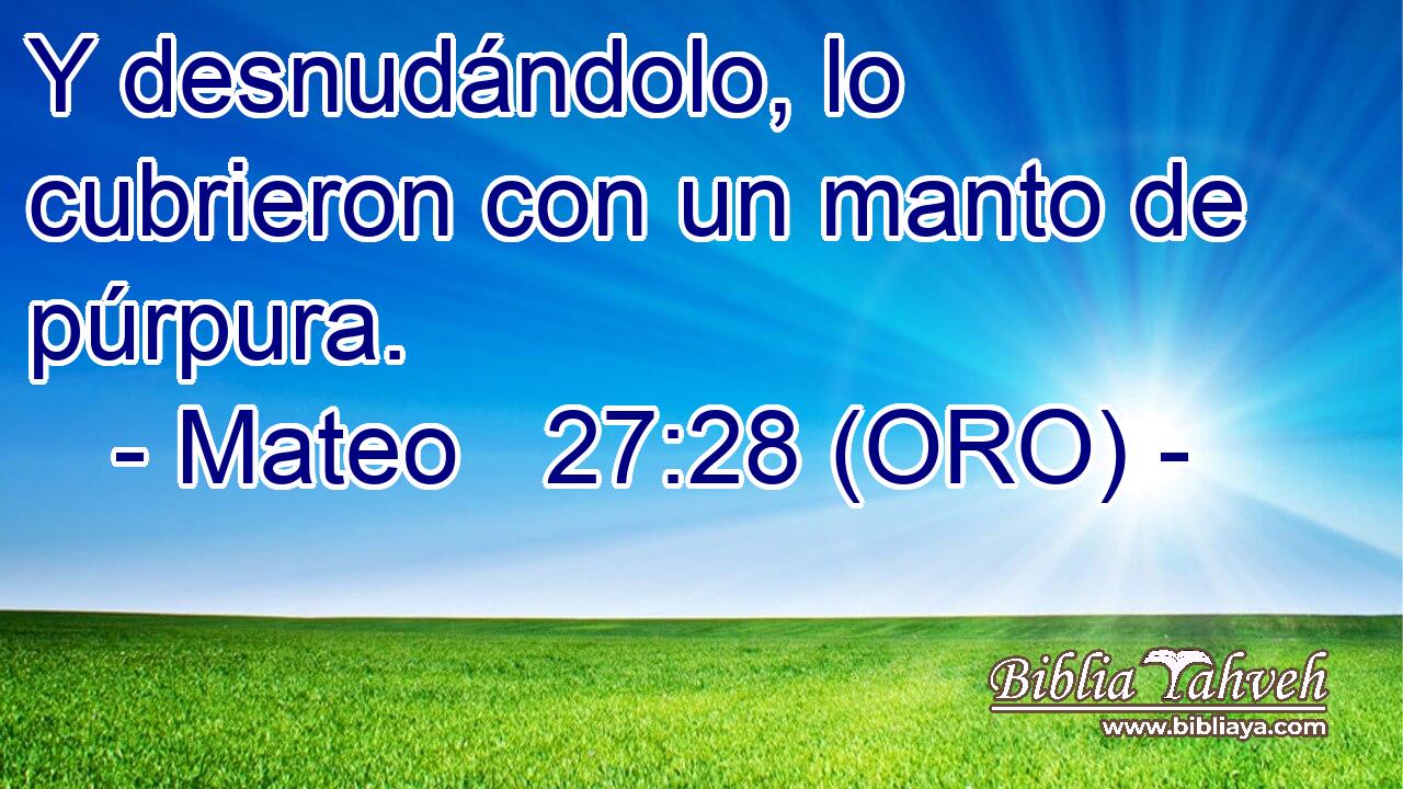  Y desnudándolo, lo cubrieron con un manto de púrpura. 