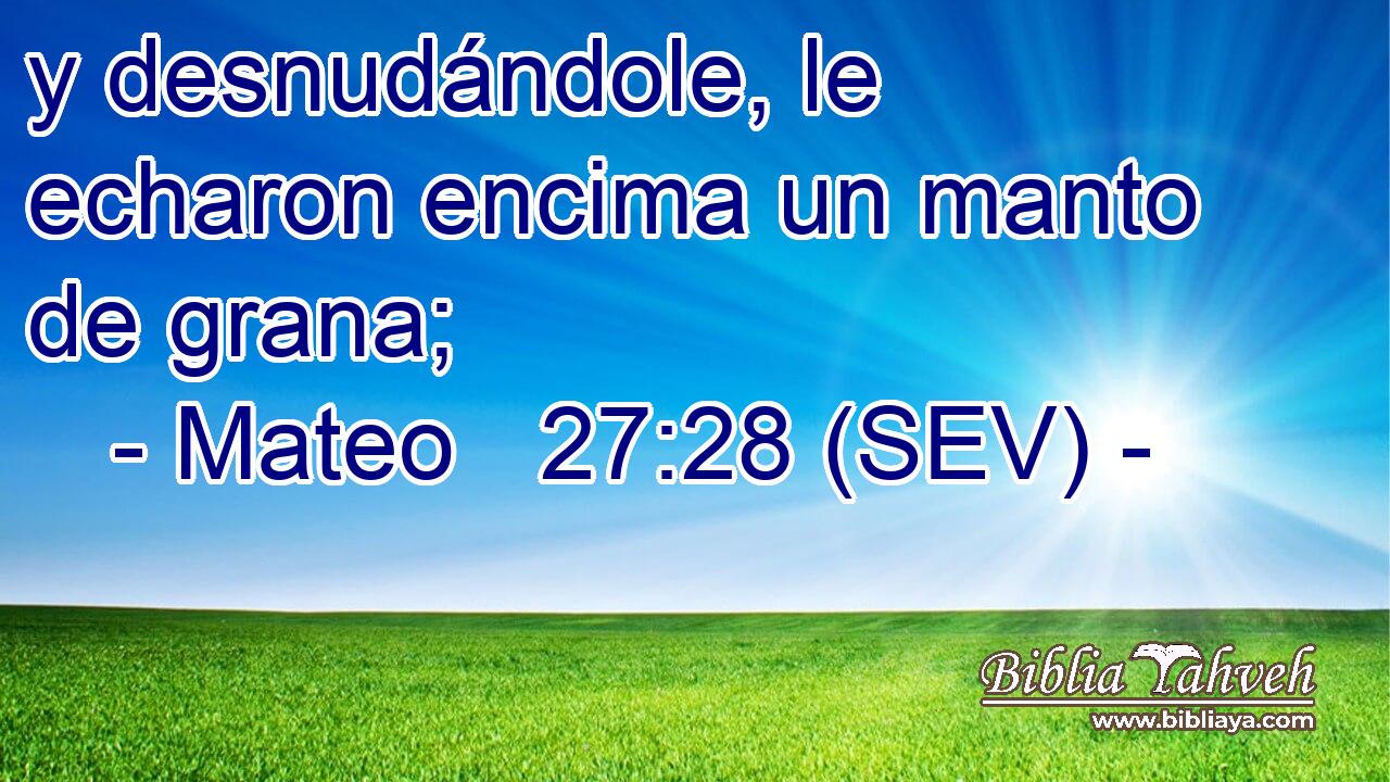 y desnudándole, le echaron encima un manto de grana;