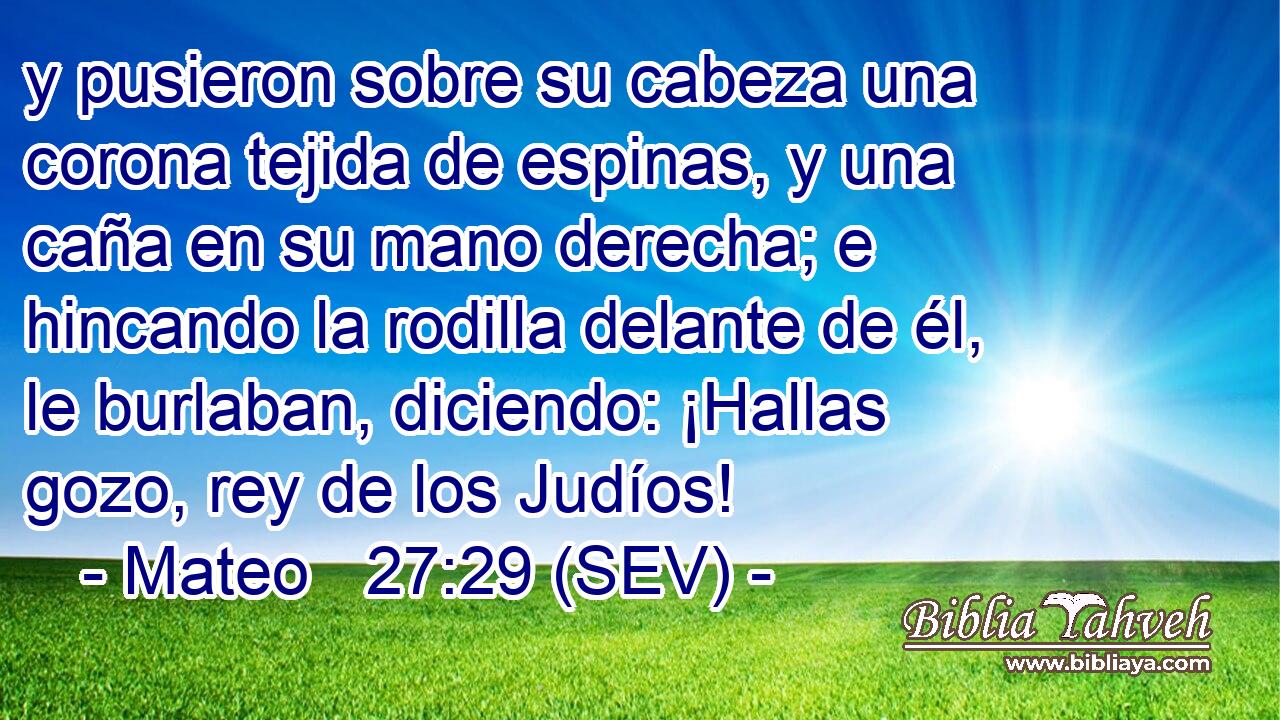 y pusieron sobre su cabeza una corona tejida de espinas, y una caña en su mano derecha; e hincando la rodilla delante de él, le burlaban, diciendo: ¡Hallas gozo, rey de los Judíos!