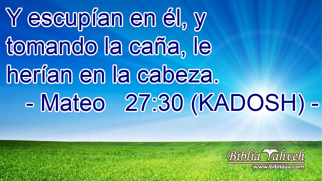  Y escupían en él, y tomando la caña, le herían en la cabeza. 