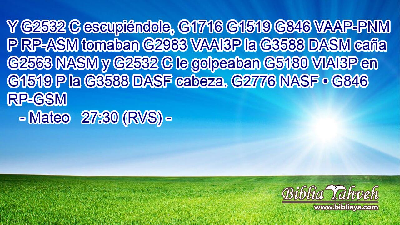 Y G2532 C escupiéndole, G1716 G1519 G846 VAAP-PNM P RP-ASM tomaban G2983 VAAI3P la G3588 DASM caña G2563 NASM y G2532 C le golpeaban G5180 VIAI3P en G1519 P la G3588 DASF cabeza. G2776 NASF • G846 RP-GSM 