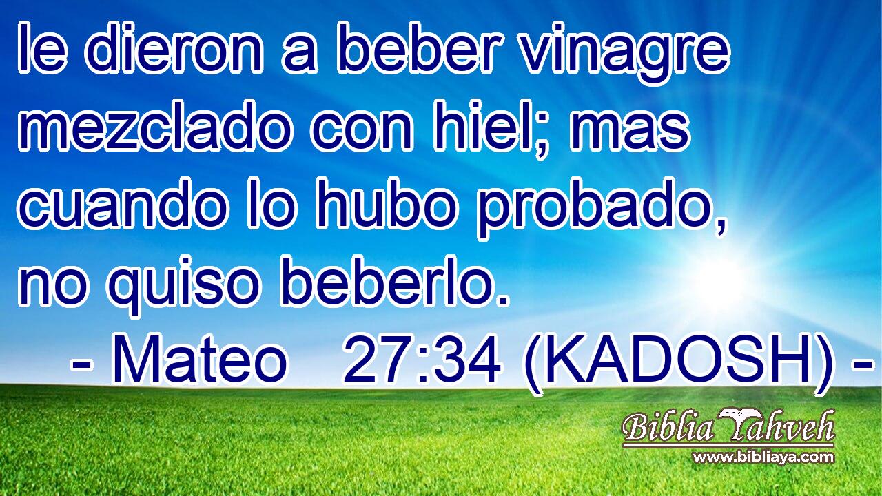  le dieron a beber vinagre mezclado con hiel; mas cuando lo hubo probado, no quiso beberlo. 