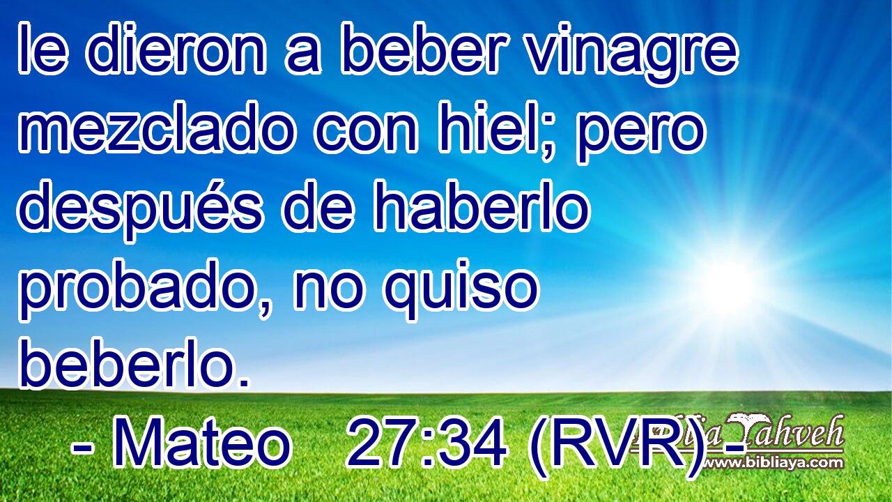 le dieron a beber vinagre mezclado con hiel; pero después de haberlo probado, no quiso beberlo.