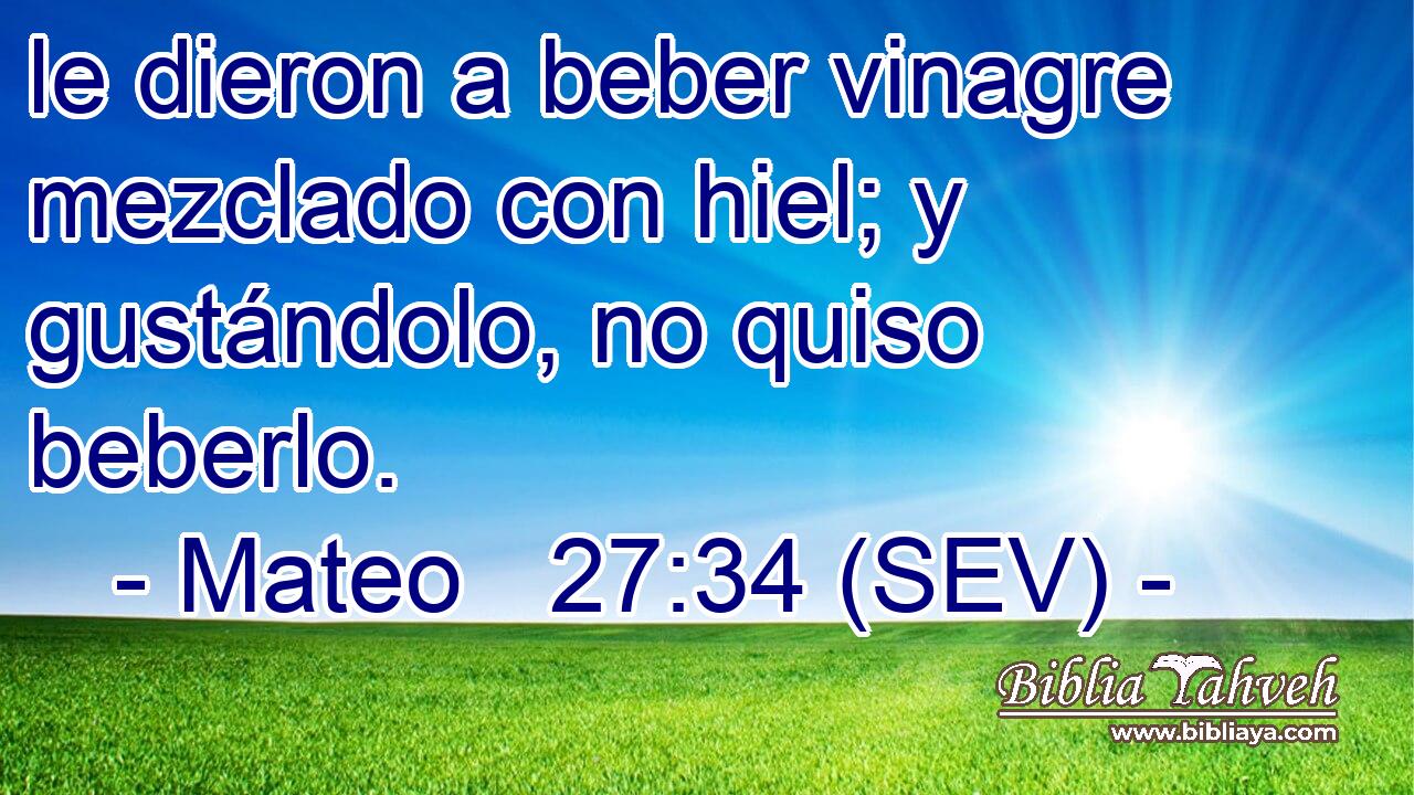 le dieron a beber vinagre mezclado con hiel; y gustándolo, no quiso beberlo.