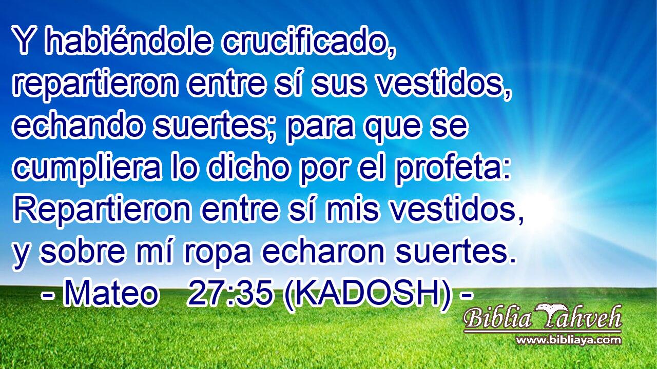  Y habiéndole crucificado, repartieron entre sí sus vestidos, echando suertes; para que se cumpliera lo dicho por el profeta: Repartieron entre sí mis vestidos, y sobre mí ropa echaron suertes. 