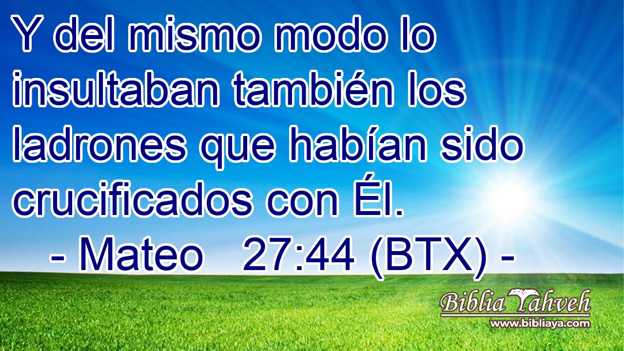 Y del mismo modo lo insultaban también los ladrones que habían sido crucificados con Él.