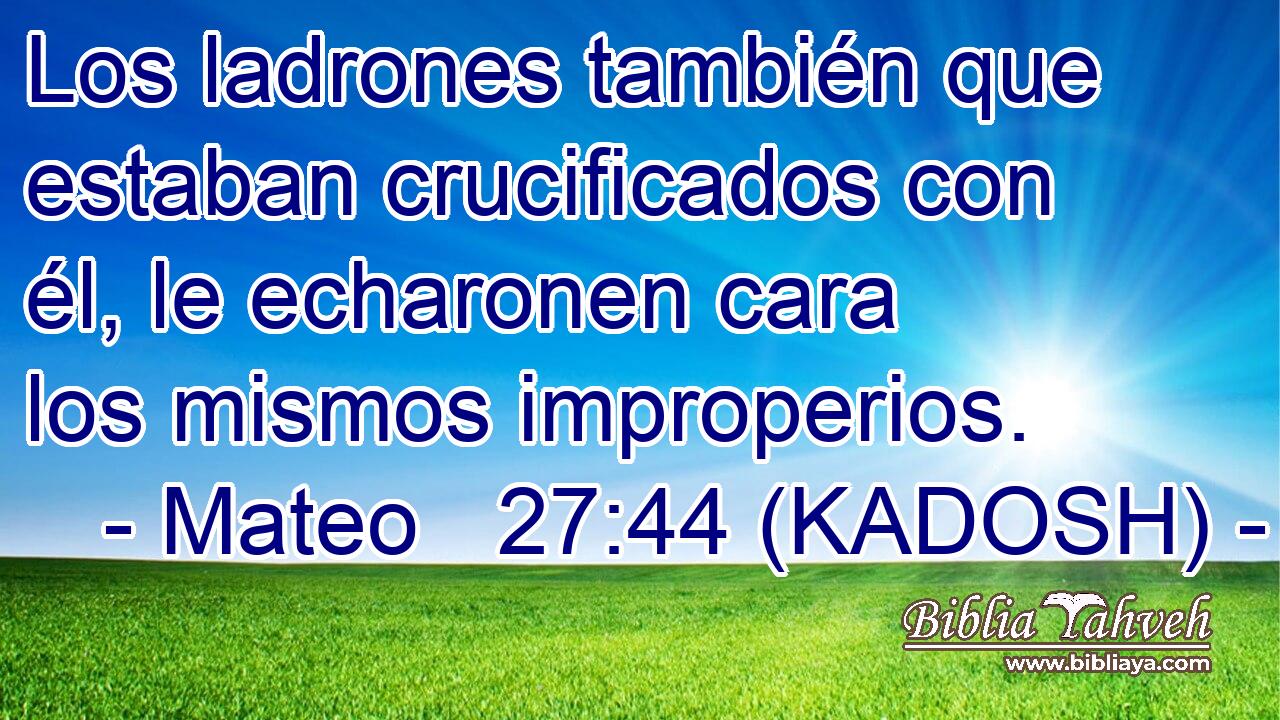  Los ladrones también que estaban crucificados con él, le echaronen cara los mismos improperios. 