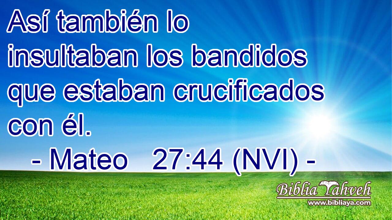  Así también lo insultaban los bandidos que estaban crucificados con él. 