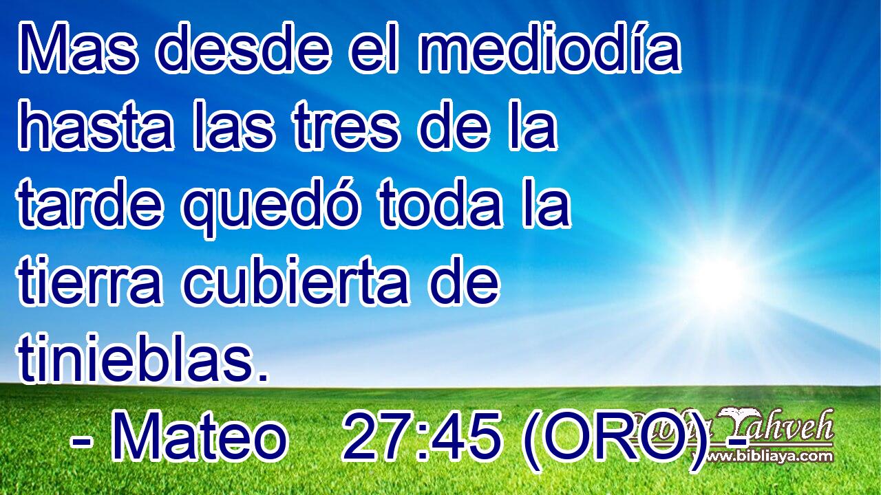  Mas desde el mediodía hasta las tres de la tarde quedó toda la tierra cubierta de tinieblas. 