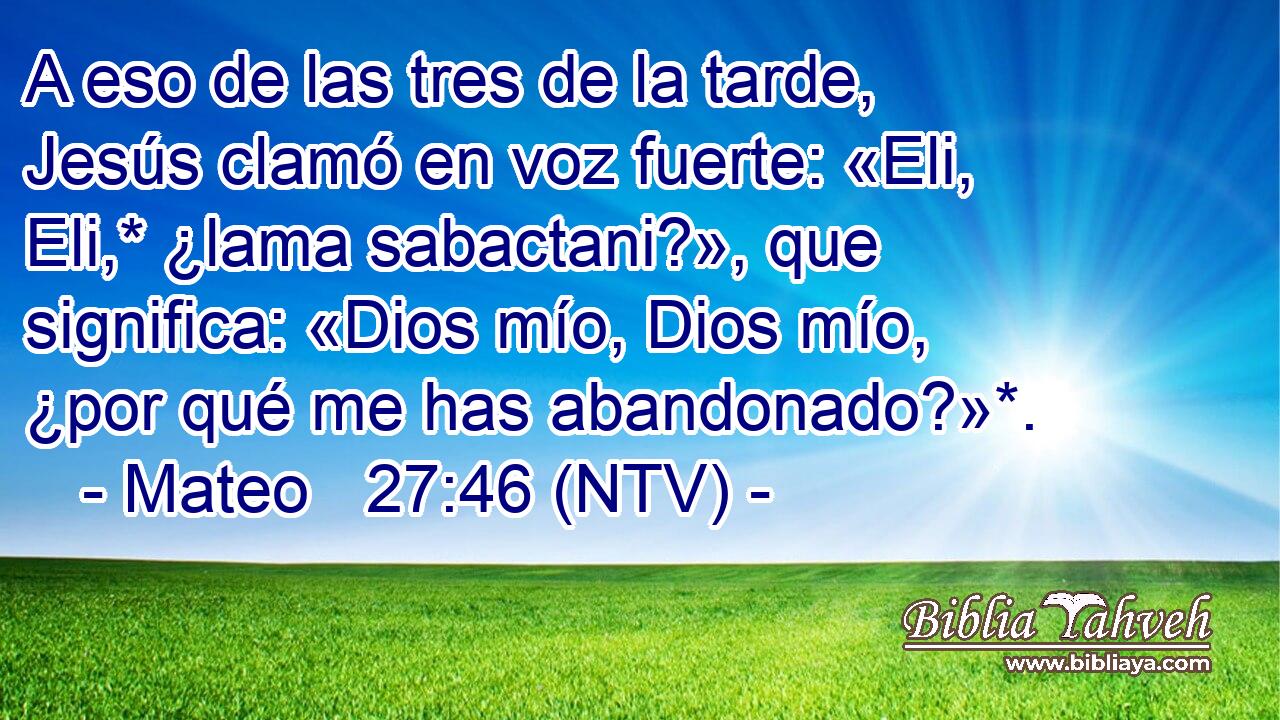 A eso de las tres de la tarde, Jesús clamó en voz fuerte: «Eli, Eli,* ¿lama sabactani?», que significa: «Dios mío, Dios mío, ¿por qué me has abandonado?»*.