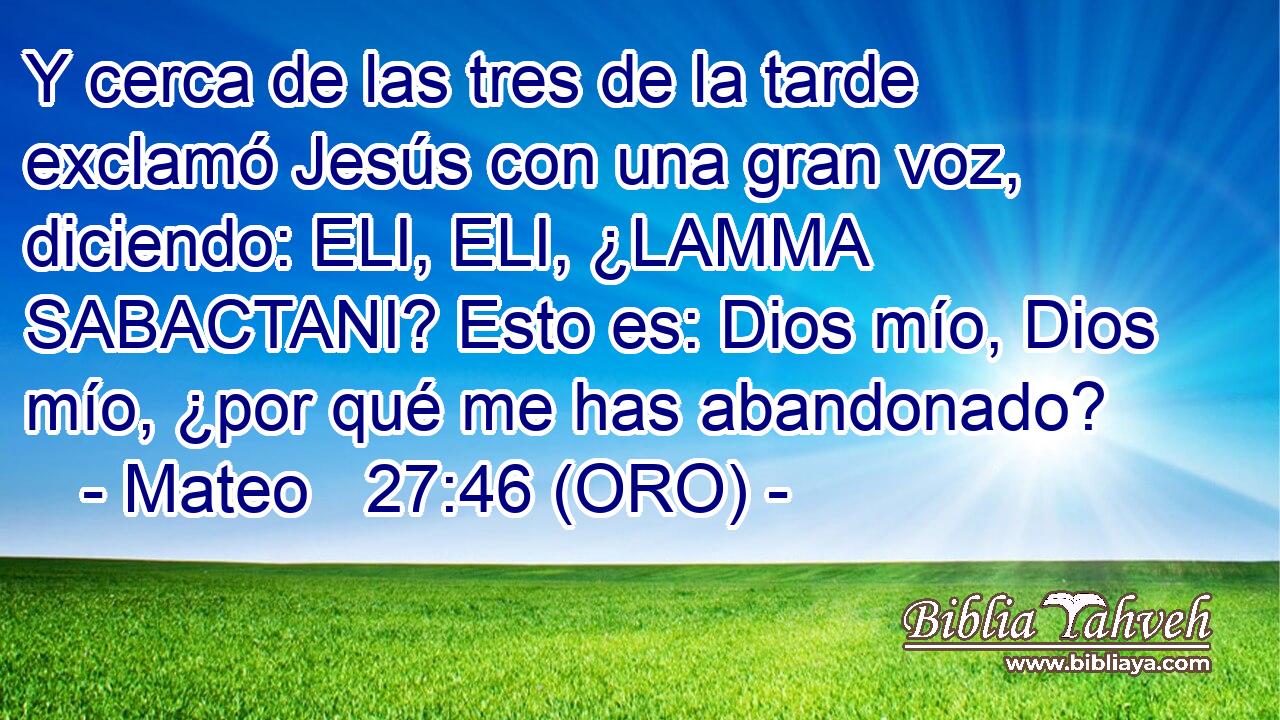  Y cerca de las tres de la tarde exclamó Jesús con una gran voz, diciendo: ELI, ELI, ¿LAMMA SABACTANI? Esto es: Dios mío, Dios mío, ¿por qué me has abandonado? 