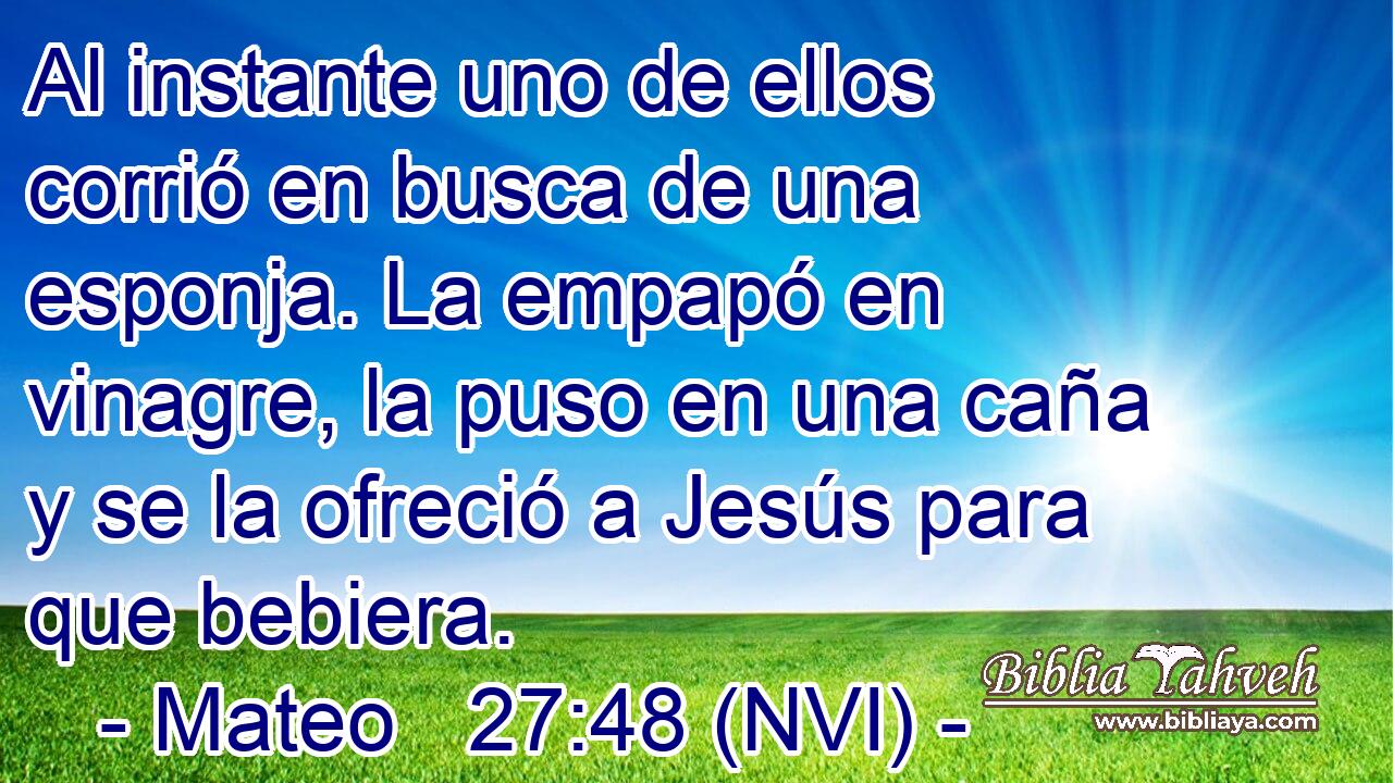  Al instante uno de ellos corrió en busca de una esponja. La empapó en vinagre, la puso en una caña y se la ofreció a Jesús para que bebiera. 