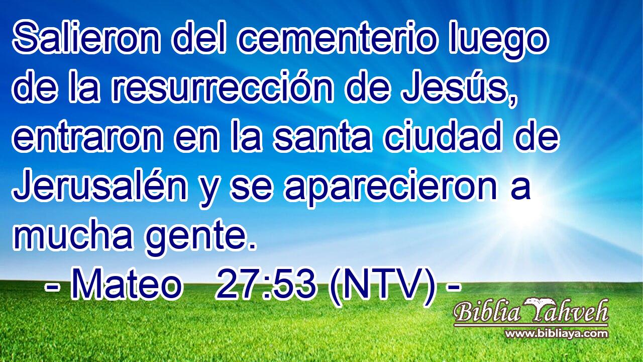 Salieron del cementerio luego de la resurrección de Jesús, entraron en la santa ciudad de Jerusalén y se aparecieron a mucha gente.
