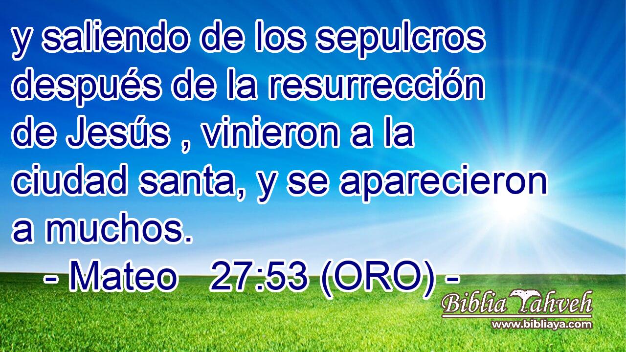  y saliendo de los sepulcros después de la resurrección de Jesús , vinieron a la ciudad santa, y se aparecieron a muchos. 