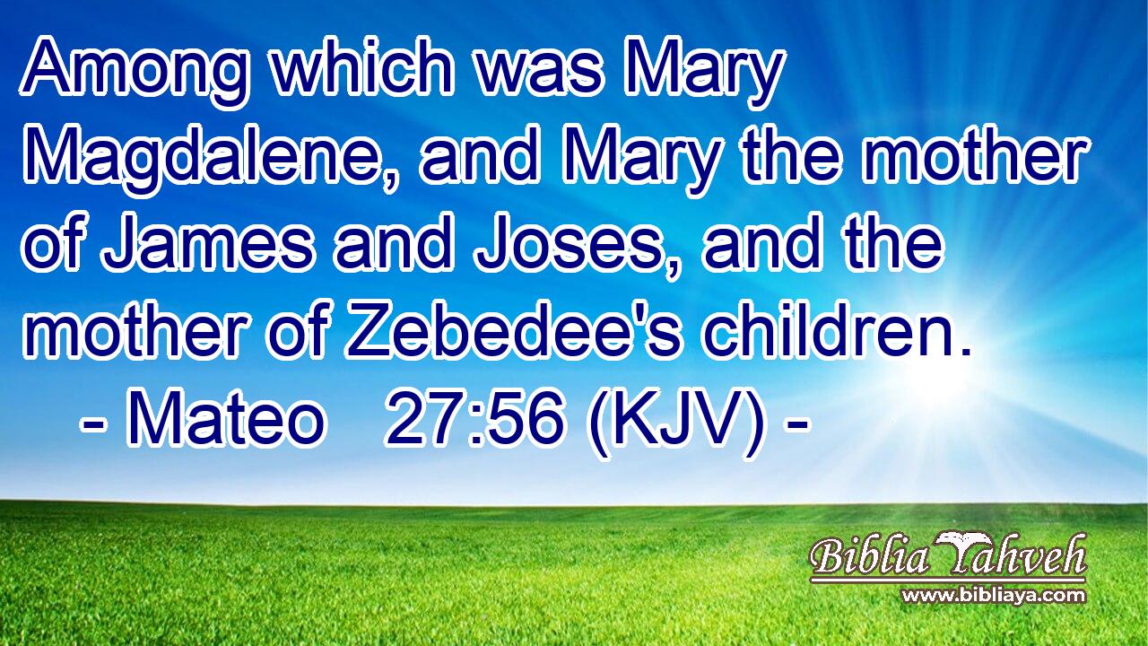 Among which was Mary Magdalene, and Mary the mother of James and Joses, and the mother of Zebedee's children.