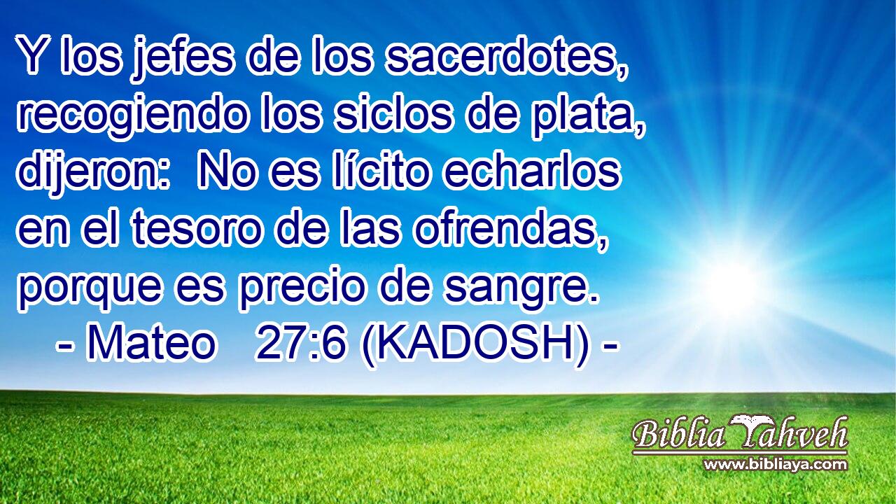  Y los jefes de los sacerdotes, recogiendo los siclos de plata, dijeron:  No es lícito echarlos en el tesoro de las ofrendas, porque es precio de sangre. 
