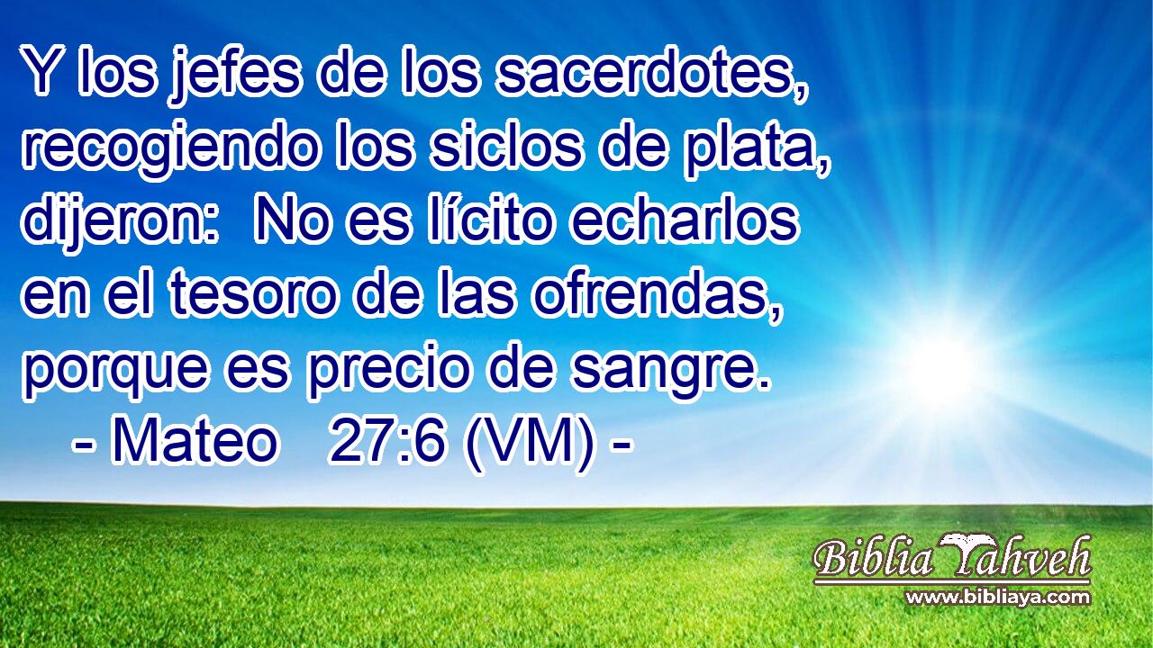  Y los jefes de los sacerdotes, recogiendo los siclos de plata, dijeron:  No es lícito echarlos en el tesoro de las ofrendas, porque es precio de sangre. 