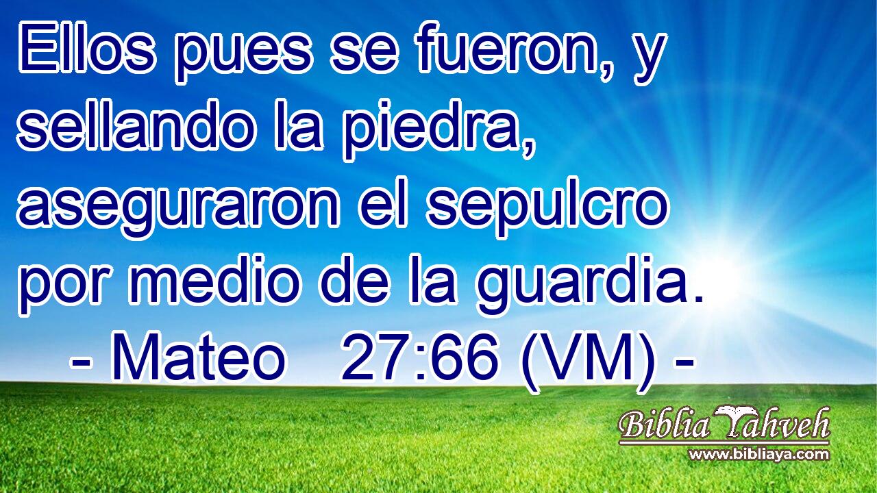  Ellos pues se fueron, y sellando la piedra, aseguraron el sepulcro por medio de la guardia. 