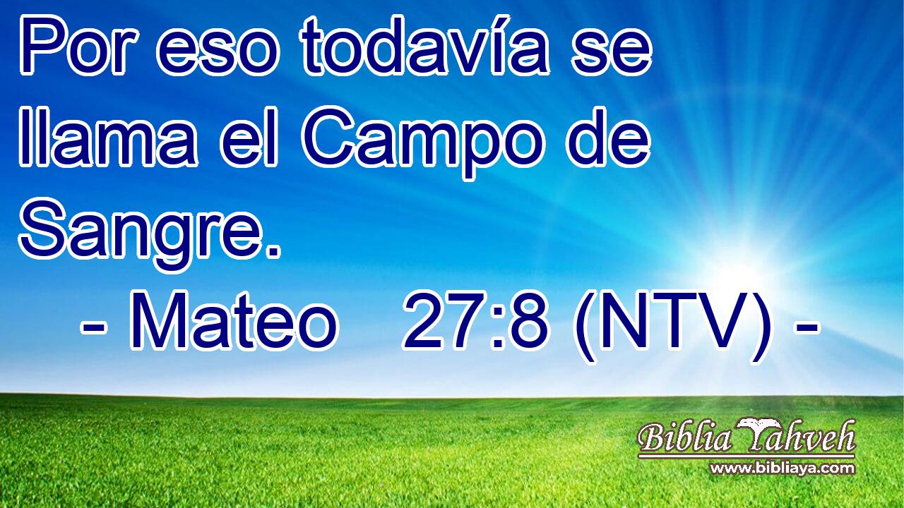 Por eso todavía se llama el Campo de Sangre.