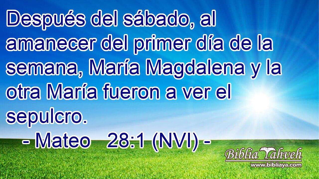  Después del sábado, al amanecer del primer día de la semana, María Magdalena y la otra María fueron a ver el sepulcro. 