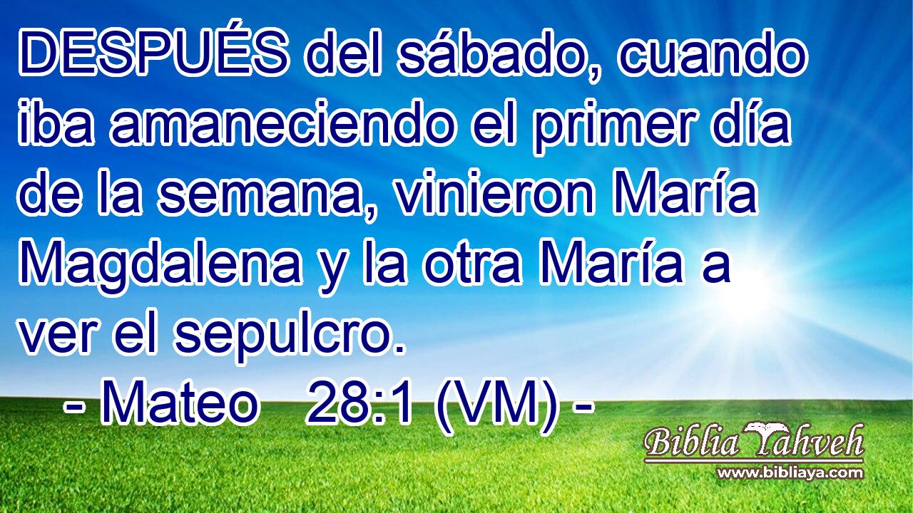  DESPUÉS del sábado, cuando iba amaneciendo el primer día de la semana, vinieron María Magdalena y la otra María a ver el sepulcro. 