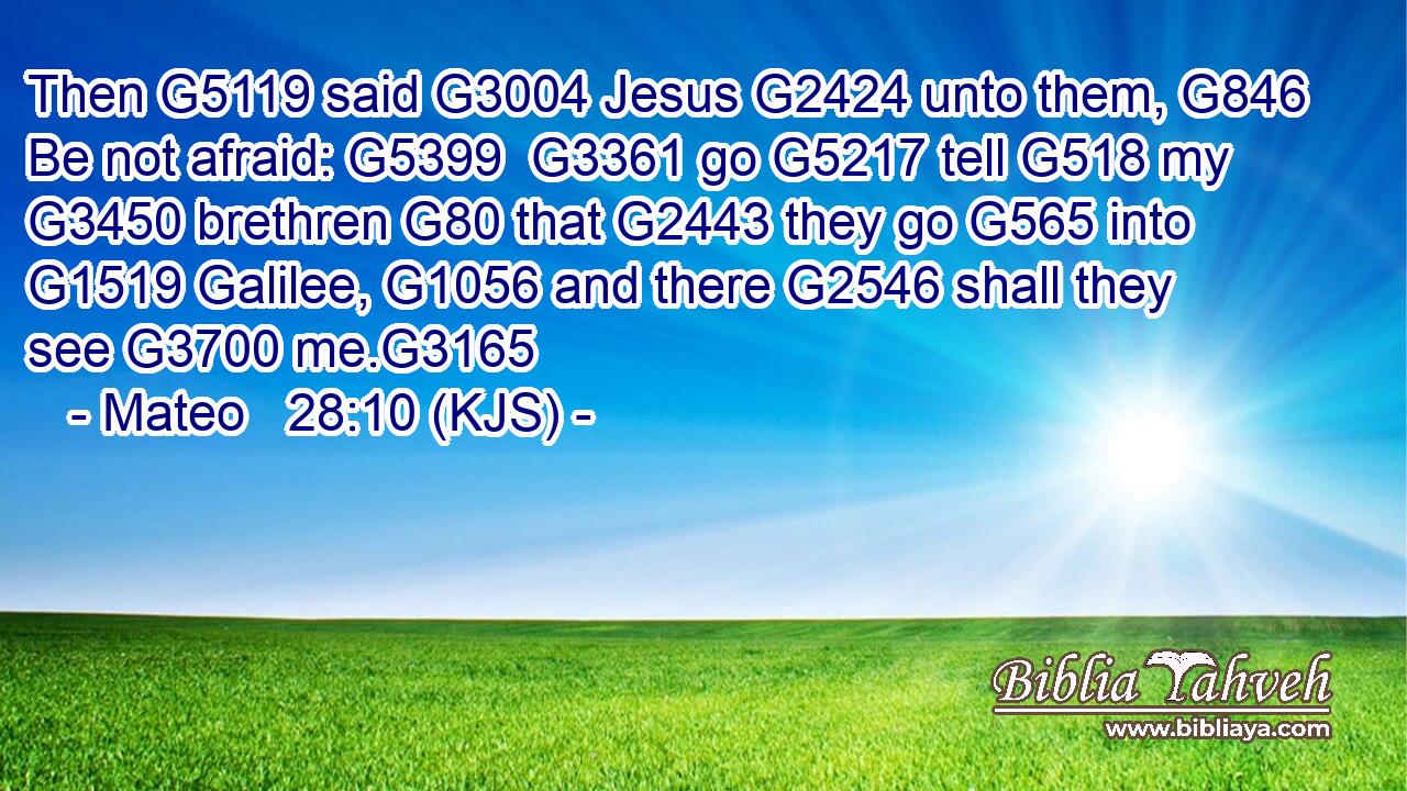 Then G5119 said G3004 Jesus G2424 unto them, G846 Be not afraid: G5399  G3361 go G5217 tell G518 my G3450 brethren G80 that G2443 they go G565 into G1519 Galilee, G1056 and there G2546 shall they see G3700 me.G3165