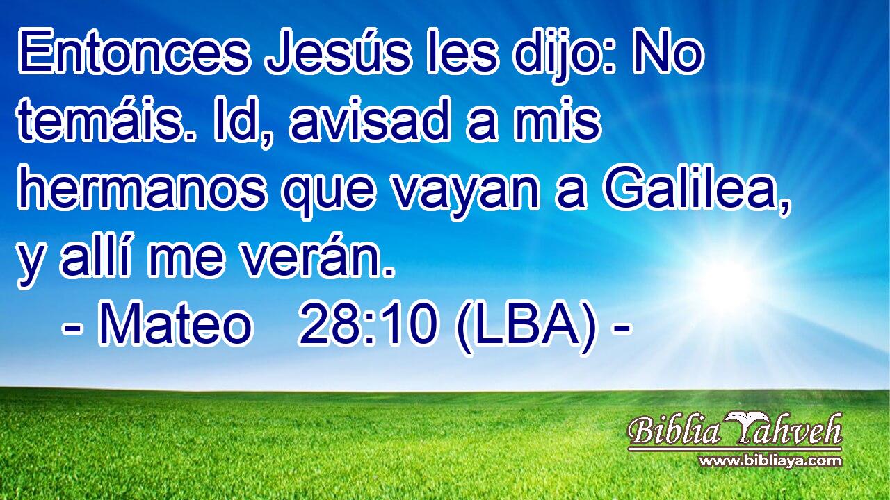 Entonces Jesús les dijo: No temáis. Id, avisad a mis hermanos que vayan a Galilea, y allí me verán.