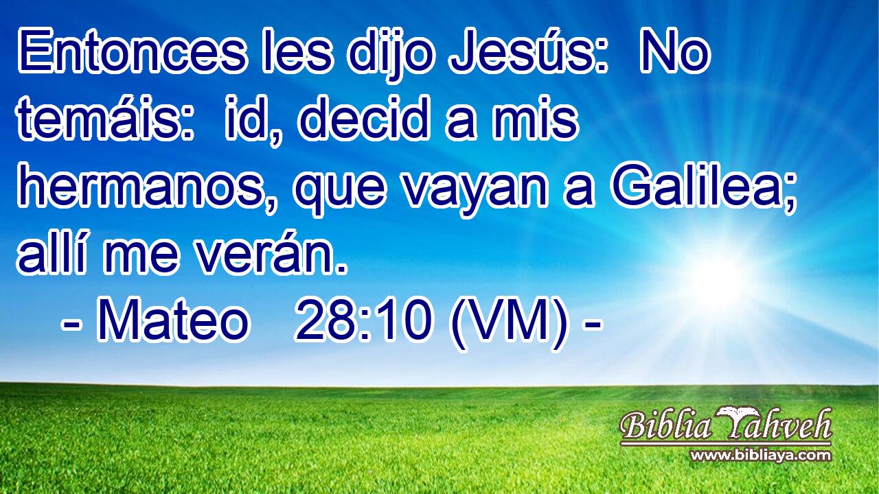  Entonces les dijo Jesús:  No temáis:  id, decid a mis hermanos, que vayan a Galilea; allí me verán. 