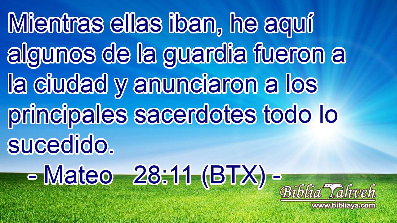 Mientras ellas iban, he aquí algunos de la guardia fueron a la ciudad y anunciaron a los principales sacerdotes todo lo sucedido.