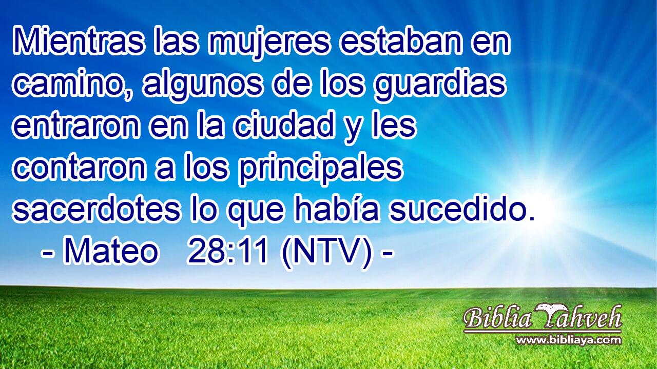 Mientras las mujeres estaban en camino, algunos de los guardias entraron en la ciudad y les contaron a los principales sacerdotes lo que había sucedido.