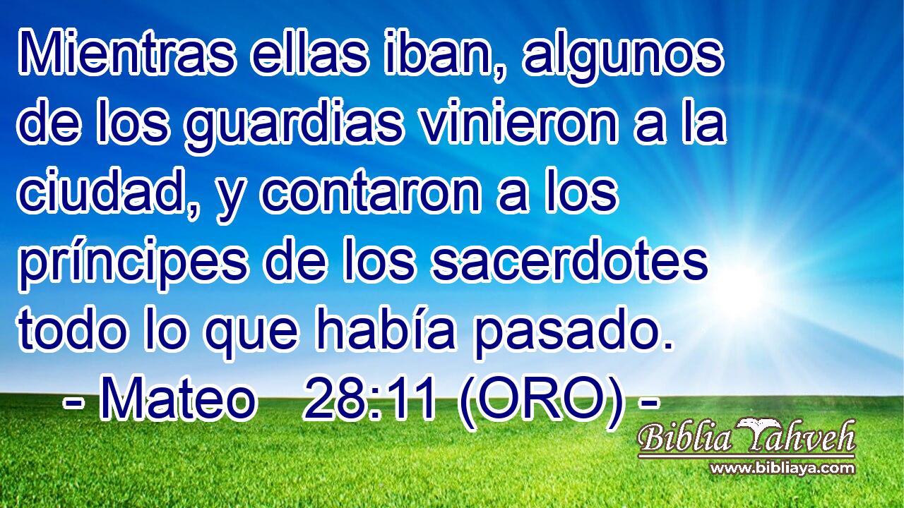 Mientras ellas iban, algunos de los guardias vinieron a la ciudad, y contaron a los príncipes de los sacerdotes todo lo que había pasado. 