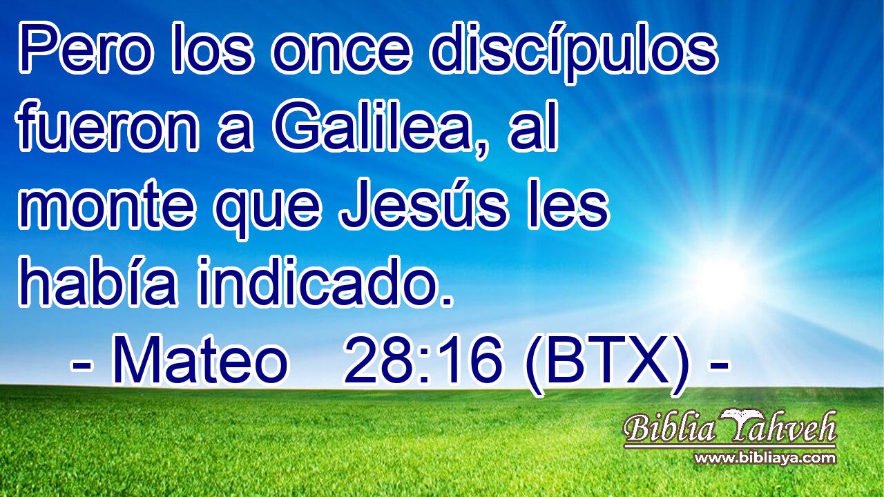 Pero los once discípulos fueron a Galilea, al monte que Jesús les había indicado.