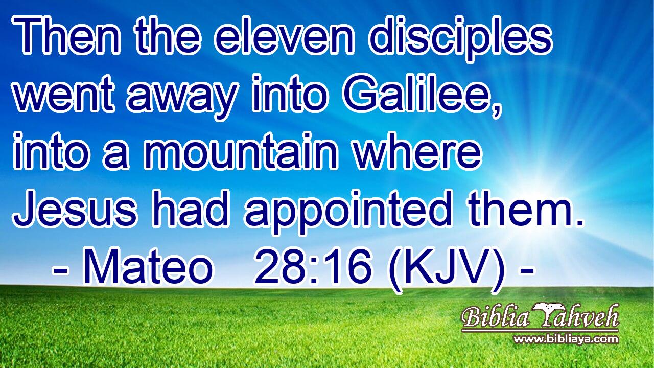 Then the eleven disciples went away into Galilee, into a mountain where Jesus had appointed them.