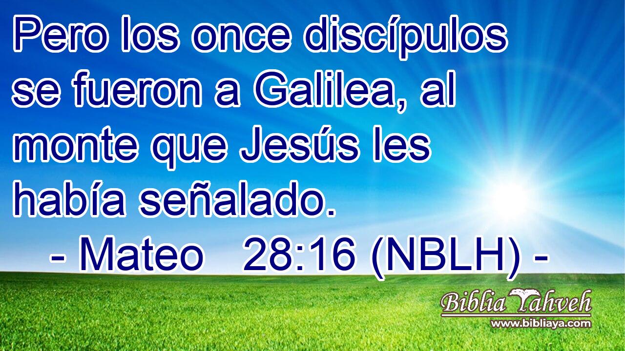  Pero los once discípulos se fueron a Galilea, al monte que Jesús les había señalado. 