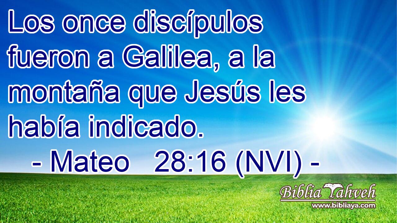  Los once discípulos fueron a Galilea, a la montaña que Jesús les había indicado. 