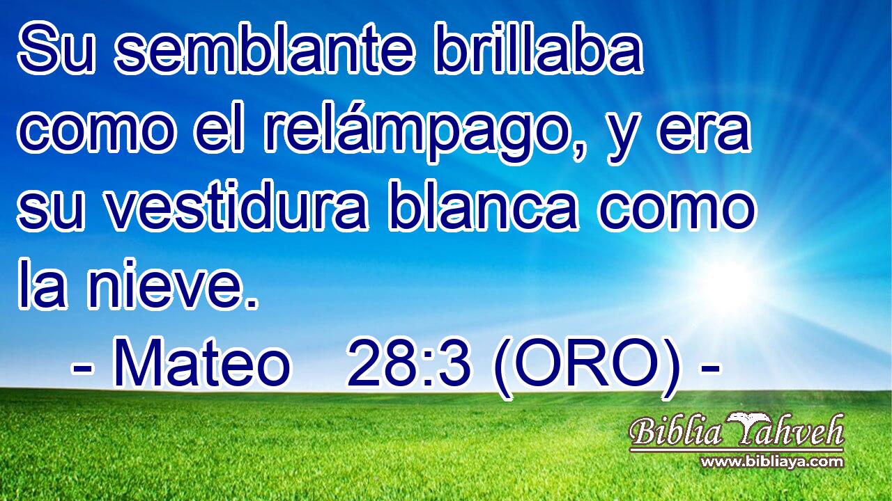  Su semblante brillaba como el relámpago, y era su vestidura blanca como la nieve. 